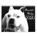 Search for boxer dog calendars Pitbull