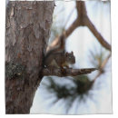Search for squirrel shower curtains Nature