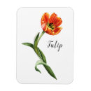 Search for tulips rectangular magnets Watercolor