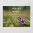 Search for resurrect postcards Gospel