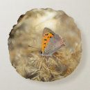 Recherche de petit insecte coussins Animal