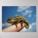 Search for finger sign posters Cute