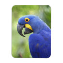 Search for ecosystem magnets Wildlife