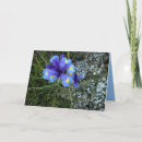 Search for husband mothers day cards Flowers