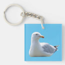 Search for sunbathing accessories Animals