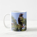 Search for starling mugs Animals