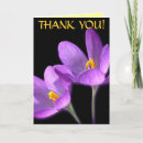 Search for crocus cards Blue