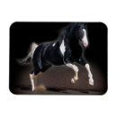 Recherche de de cheval magnets Animal