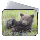 Search for at play electronics Young animal