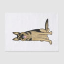 Search for german shepherd tissue paper Dog