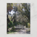 Search for sunlit postcards Shadow