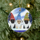Search for yorkie poo ornaments Santa