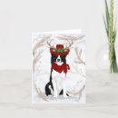 Search for border collie christmas cards Pets
