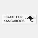 Search for kangaroo bumper stickers Marsupial