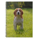 Search for beagle notebooks Dog