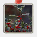 Search for new england ornaments United states