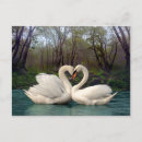 Search for faeries postcards Birds