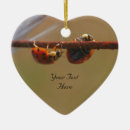 Recherche de coccinelle mignonne ornements Insectes