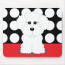 Recherche de bichon tapis souris Animaux familiers