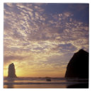 Search for oregon tiles Coast
