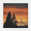 Recherche de arbre orange magnets Arbres