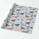 Search for dachshund wrapping paper Pet