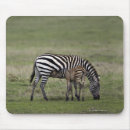 Search for foal mousepads Wildlife