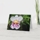 Recherche de orchidées pourpres vœux cartes Exotique