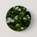 Search for jasmin buttons Floral