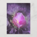 Recherche de texture rose cartes postales Pour elle