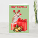 Search for hamster christmas cards Mouse