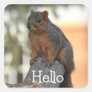 Search for adorable cute stickers Squirrel