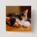 Search for eyes closed buttons Baby animals