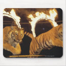 Search for performance mousepads Horizontal