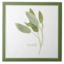 Recherche de romarin carreaux Jardin