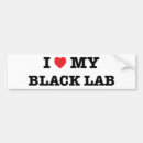Search for black labrador bumper stickers Heart