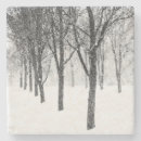 Search for bare coasters Landscape