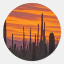Search for saguaro national park stickers Cacti