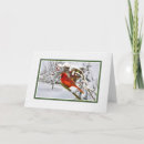 Search for cardinal bird christmas cards Birds