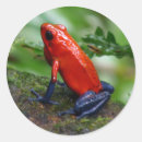 Search for poison dart frog stickers Animal