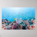 Search for scuba diving posters Beach