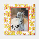 Search for pet magnets Cat lover