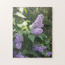 Recherche de lilas bush Jardin