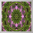 Search for doily Green