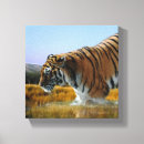 Search for wild cat canvas prints Bengal