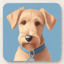 Search for collar coasters Pet