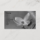 Recherche de cornouiller cartes visite Floral