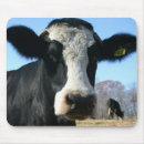 Search for cow mousepads Farmer