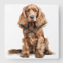 Recherche de cocker anglais posters Rouge