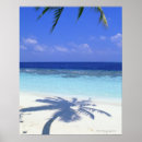 Search for shadow posters Nature